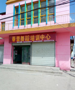 保亭春蕾舞蹈艺术培训中心