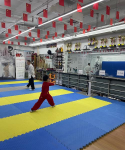 孝感市精武星功夫体育培训有限公司