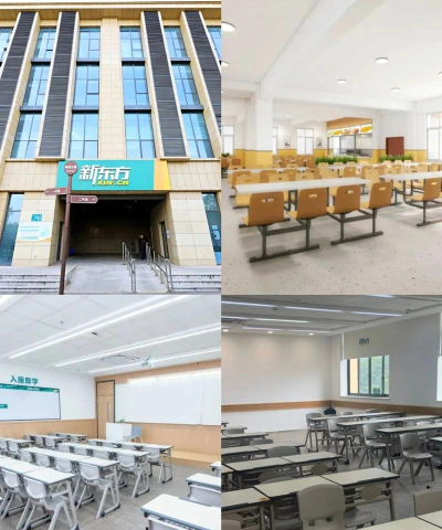 成都市锦江区新东方行远艺术培训学校有限公司