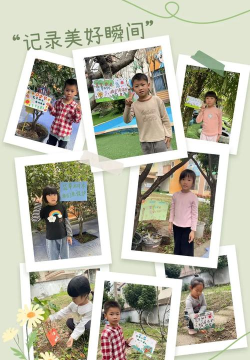 广州市南沙区庆盛村幼儿园户外活动场地