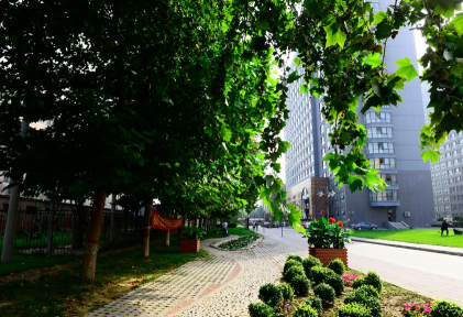 河北医科大学临床学院