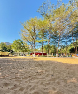 广州市黄埔沙步幼儿园户外活动场地