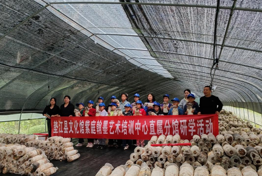 垫江县紫庭翰墨艺术培训有限责任公司