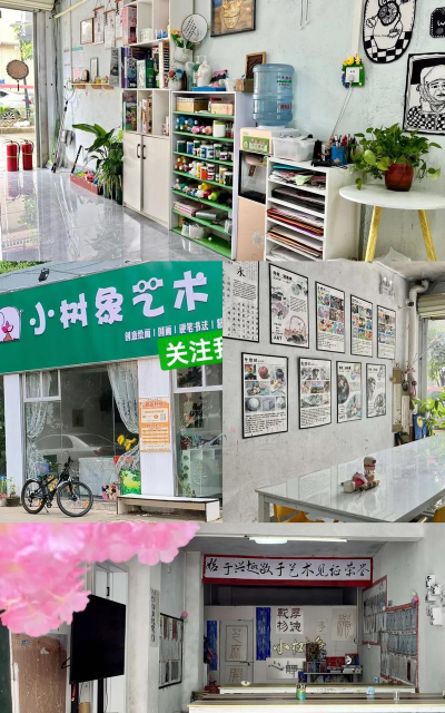 龙州县小树象艺术培训有限责任公司