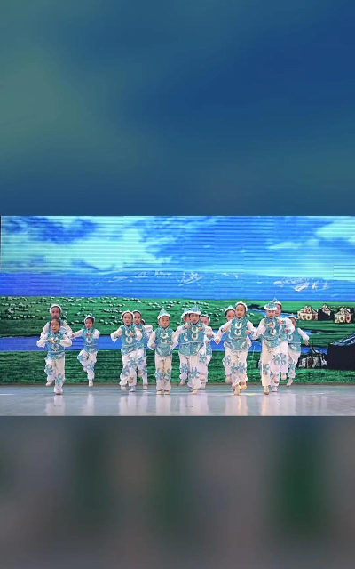 葫芦岛市连山区蓓蕾艺术辅导有限公司