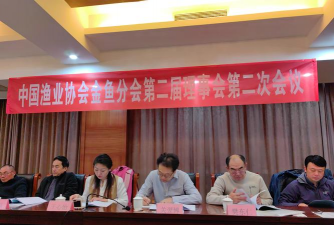 临泉县大渔艺术培训中心有限公司