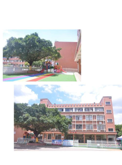 佛山市顺德区杏坛新联幼儿园