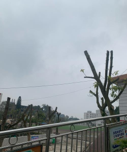 峨眉山市罗目镇初级中学校