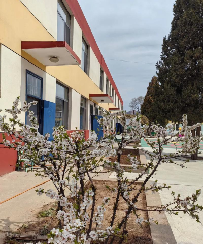 三台县金石镇同德瓦窑村幼儿园户外活动场地