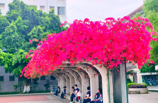 东坡区实验初中户外活动场地