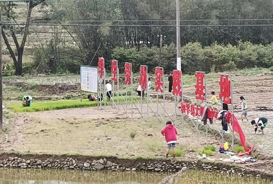 大坝中心小学