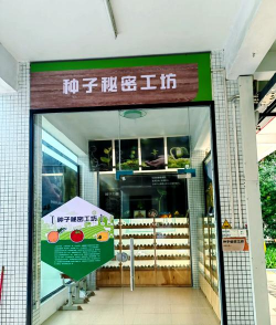 大龙华镇龙北小学