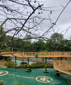 成都市武侯区桂溪长寿村长寿幼儿园