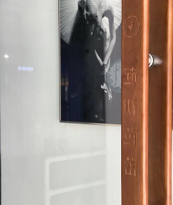 东莞市莞城吕芭蕾艺术培训中心有限公司