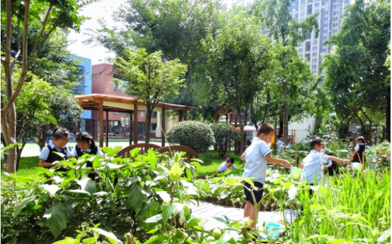 成都市青羊区苏坡乡新世纪幼儿园