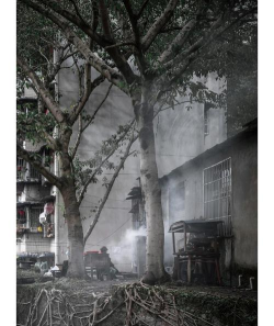 北碚区水土镇第一初级中学校