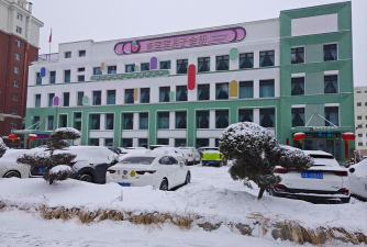 巢湖市私立斯辰双语小学