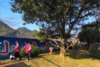 佛子岭镇中心学校