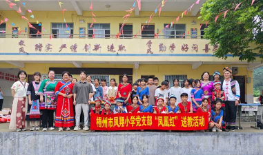 丰稔镇莲凤分校