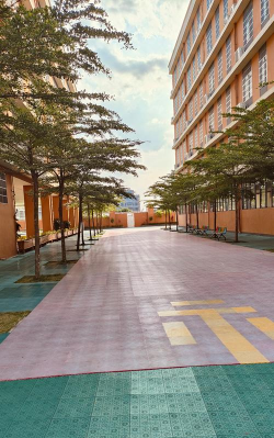 龙母镇紫光分校