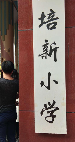 绍兴培新小学