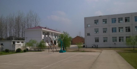 光慈小学
