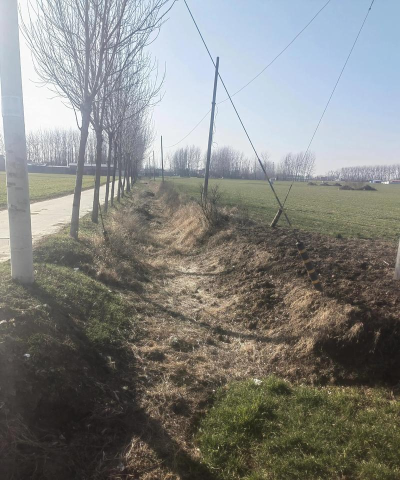 平阴县夏沟小学