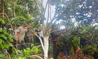 临翔区平村乡中心完小