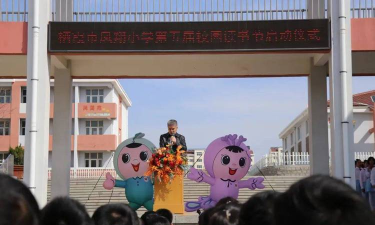 临翔区凤翔小学户外活动场地