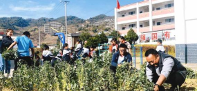 凤庆县凤山镇大摆田完小