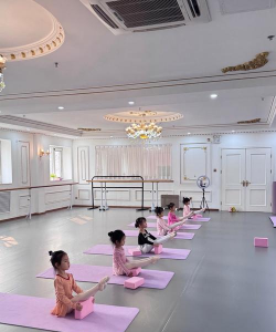 临沂市兰山区金芭蕾艺术培训学校有限公司