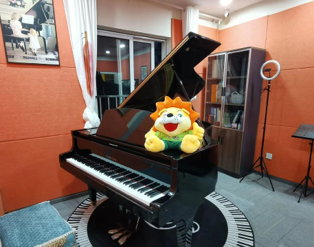 郧阳区辛巴星茗人钢琴