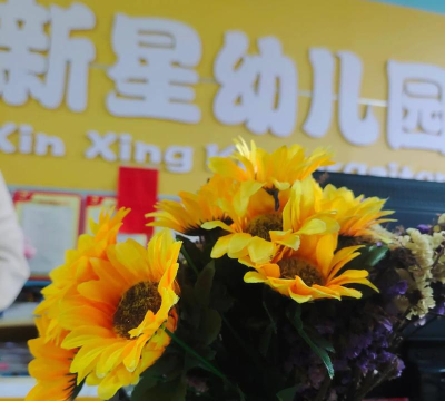 昆明太阳花金弋双语幼儿园