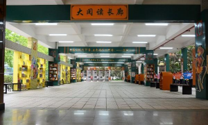 东莞市南城区阳光第二小学