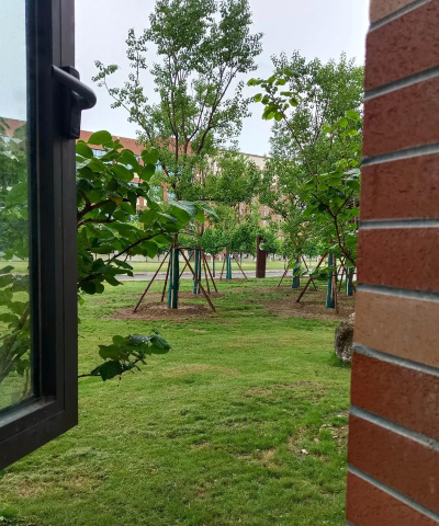 绵阳城市学院户外活动场地