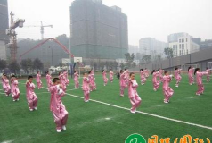 成都市同辉(国际)学校(原成都市苏坡小学)