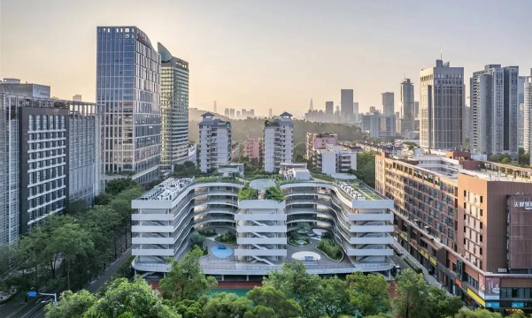深圳市景龙小学