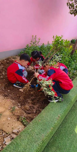 新泰市放城镇南涝坡幼儿园