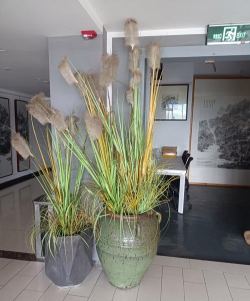 磐安县清风书画培训部