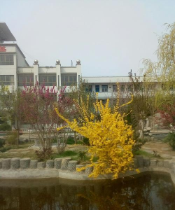 丰县首羡镇首羡初级中学