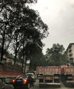 大康镇松花岭村小