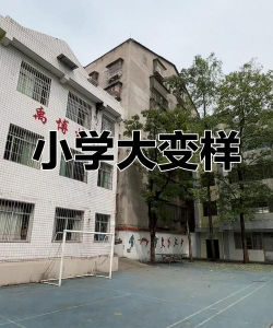 观音乡中心小学