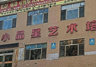 厦门小晶星艺术培训有限公司