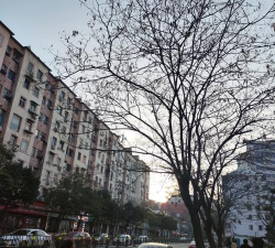 江西南昌市第八中学