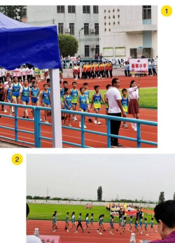 佛山市顺德区杏坛镇新联小学