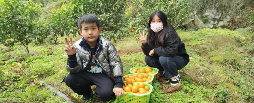 魁斗镇奇观村幼儿园户外活动场地