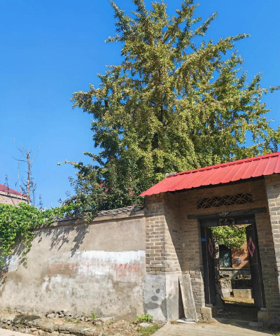 茌平县冯屯镇刘马村幼儿园户外活动场地