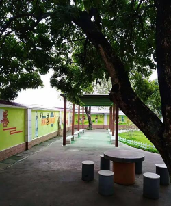 平南镇罗合小学