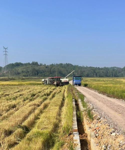 万州区铁峰中心小学吉安村小