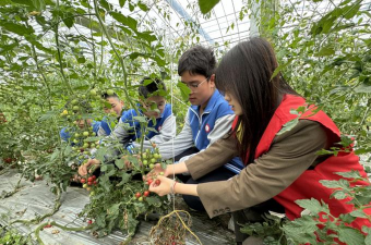 合兴镇星桥完小